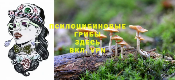 а пвп мука Армянск