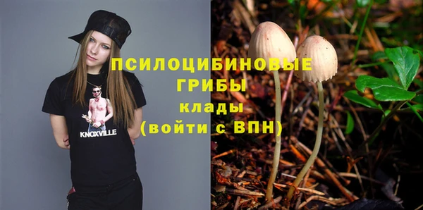 а пвп мука Армянск