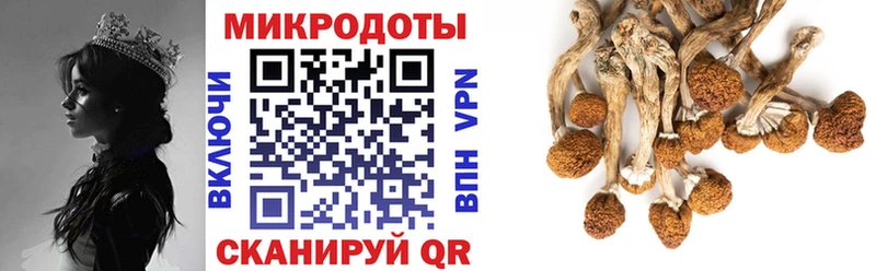 Галлюциногенные грибы мухоморы  наркотики  hydra рабочий сайт  Холмск 